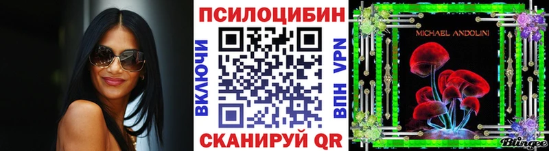 Купить где  Малмыж  Псилоцибиновые грибы Magic Shrooms 